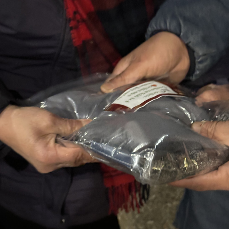 a90d66de5582dd852ed387a48d0b10ca_1767148